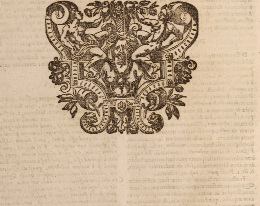 An illustration from Danielis Sennerti Vratislaviensis, D. Et Medicinae In Academia Wittebergensi Profesessoris publici., 1641, leaf 896