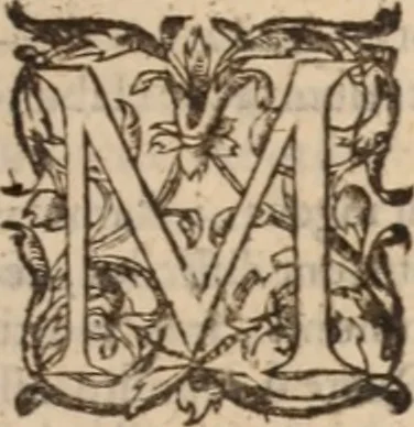 An illustration from Danielis Sennerti Vratislaviensis, D. Et Medicinae In Academia Wittebergensi Profesessoris publici., 1641, leaf 916