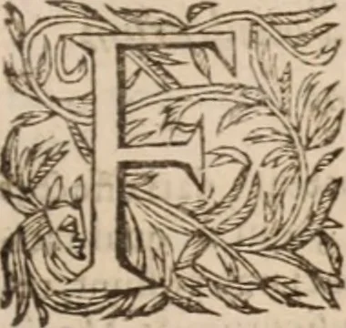 An illustration from Danielis Sennerti Vratislaviensis, D. Et Medicinae In Academia Wittebergensi Profesessoris publici., 1641, leaf 932