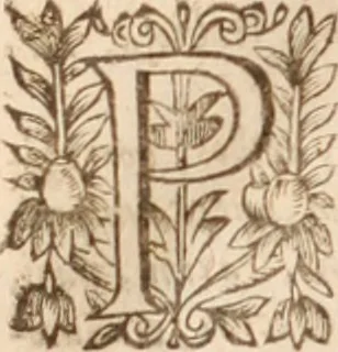 An illustration from Danielis Sennerti Vratislaviensis, D. Et Medicinae In Academia Wittebergensi Profesessoris publici., 1641, leaf 955