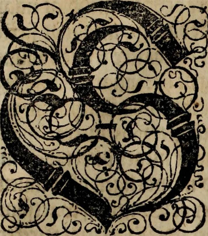 An illustration from Danmarckis Rigis Krønicke, 1652, leaf 16