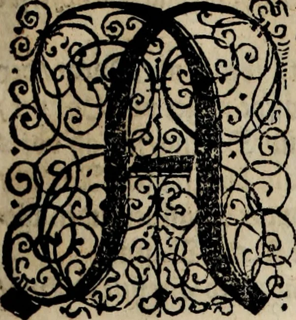 An illustration from Danmarckis Rigis Krønicke, 1652, leaf 172
