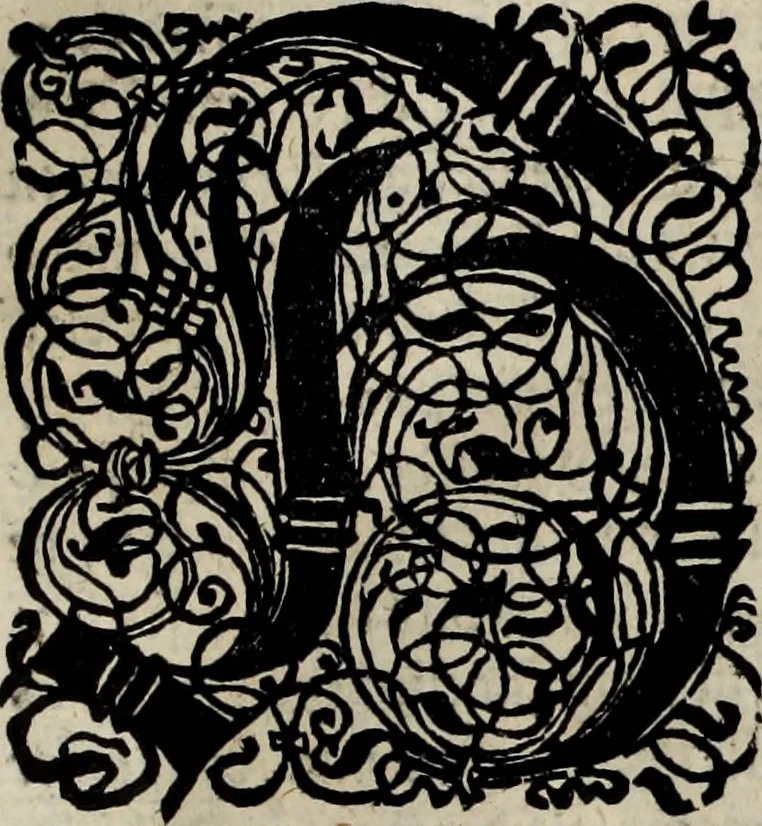 An illustration from Danmarckis Rigis Krønicke, 1652, leaf 25