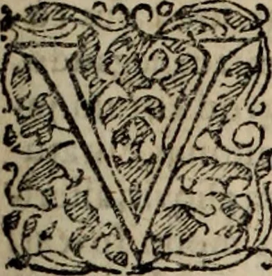 An illustration from Danmarckis Rigis Krønicke, 1652, leaf 514