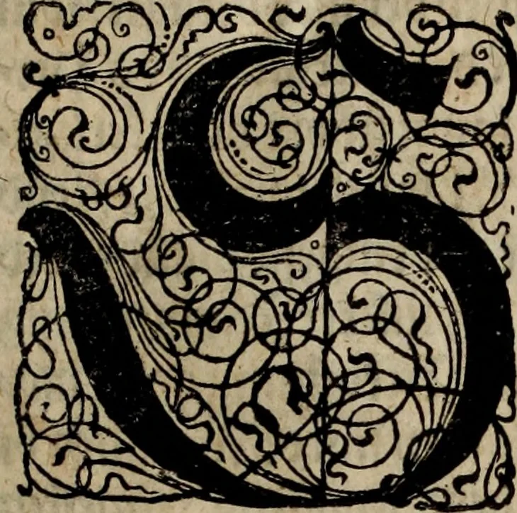 An illustration from Danmarckis Rigis Krønicke, 1652, leaf 8