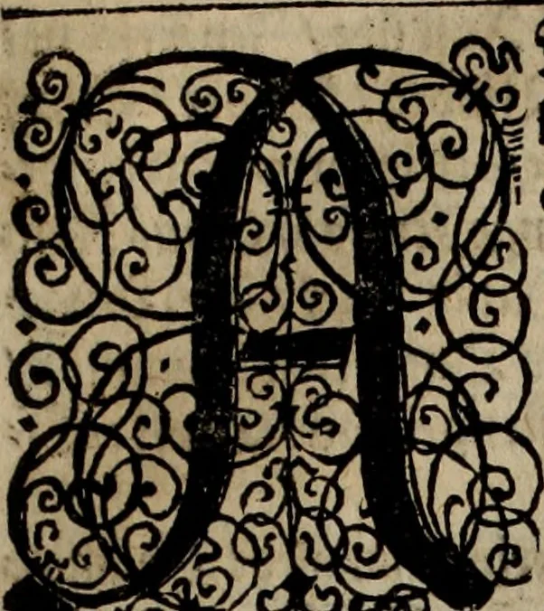 An illustration from Danmarckis Rigis Krønicke, 1652, leaf 140