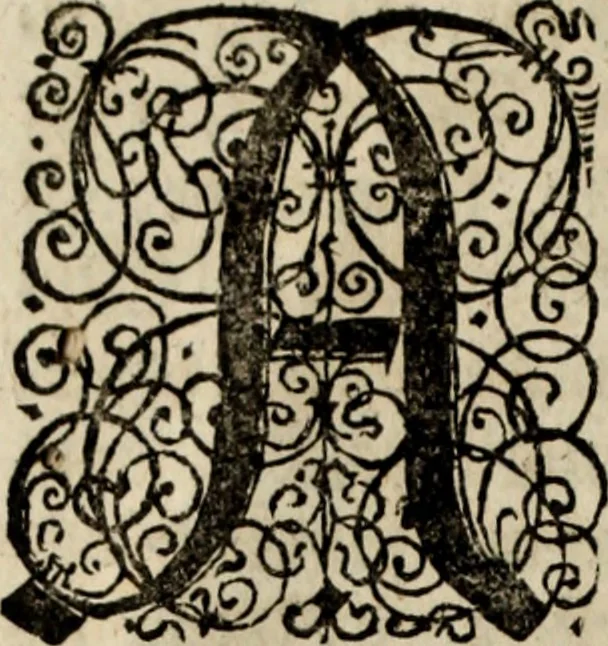 An illustration from Danmarckis Rigis Krønicke, 1652, leaf 15