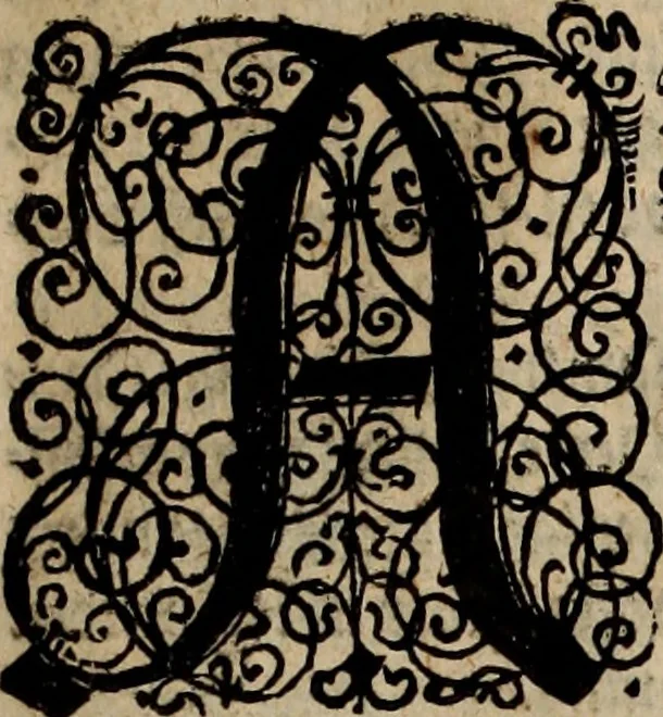 An illustration from Danmarckis Rigis Krønicke, 1652, leaf 284