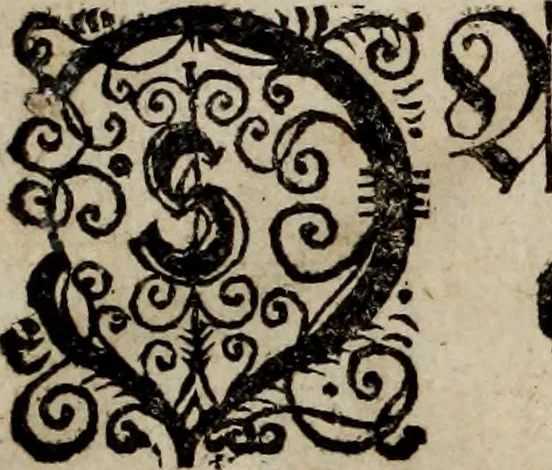 An illustration from Danmarckis Rigis Krønicke, 1652, leaf 4