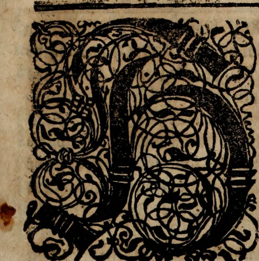 An illustration from Danmarckis Rigis Krønicke, 1652, leaf 434