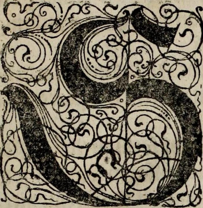 An illustration from Danmarckis Rigis Krønicke, 1652, leaf 8