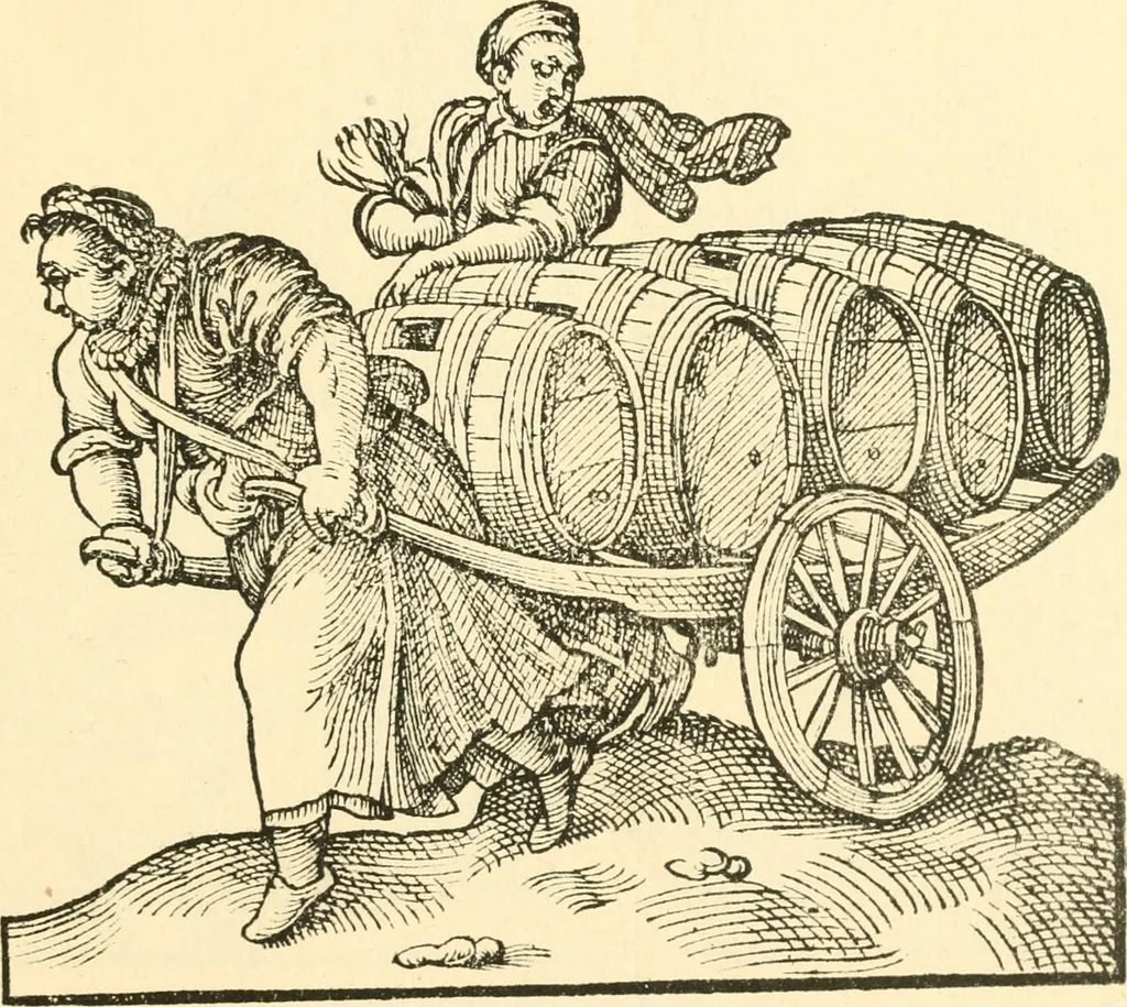 An illustration from Danziger Frauentrachtenbuch, 1886, leaf 46