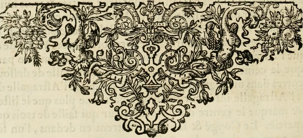 An illustration from Oeuvres d'architecture de Vincent Scamozzi vicentin, architecte de la republique de Venise, contenuës dans son idée de l'architecture universelle : dont les regles des cinq ordres, que le sixième livre contient ont été traduites en françois, 1713, leaf 301