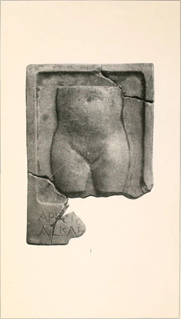 An illustration from Darstellungen normaler und krankhaft veränderter Körperteile an antiken Weihgaben, 1912, leaf 36