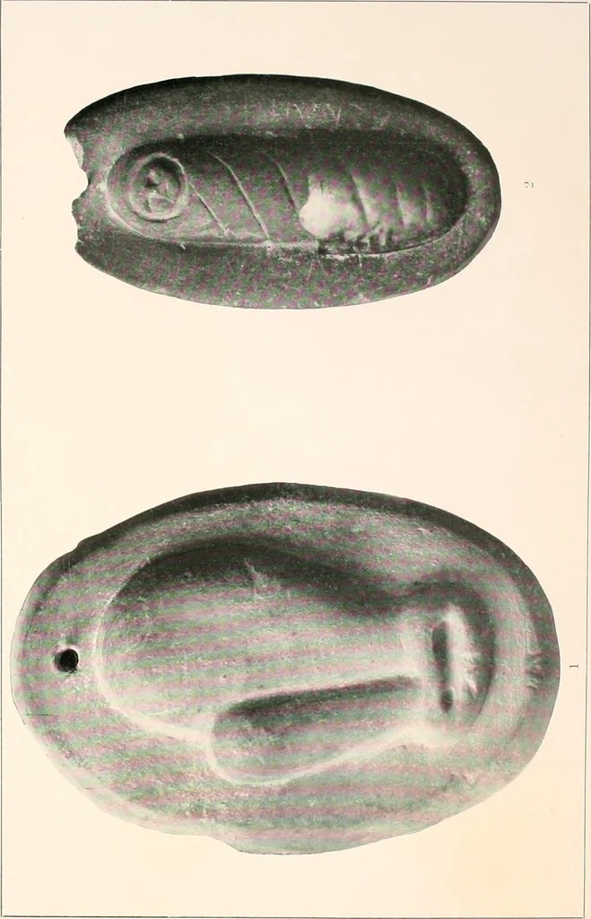 An illustration from Darstellungen normaler und krankhaft veränderter Körperteile an antiken Weihgaben, 1912, leaf 38