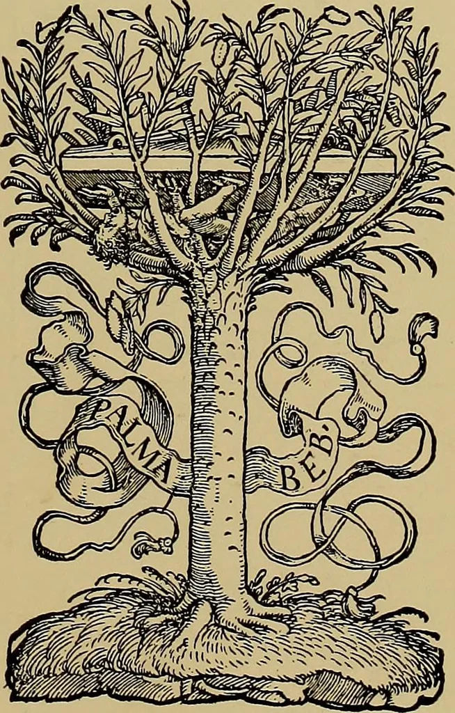 An illustration from Das Alte buch und seine ausstattung vom XV. bis zum XIX. jahrhundert: buchdruck, buchschmuck und einbände, 1915, leaf 107