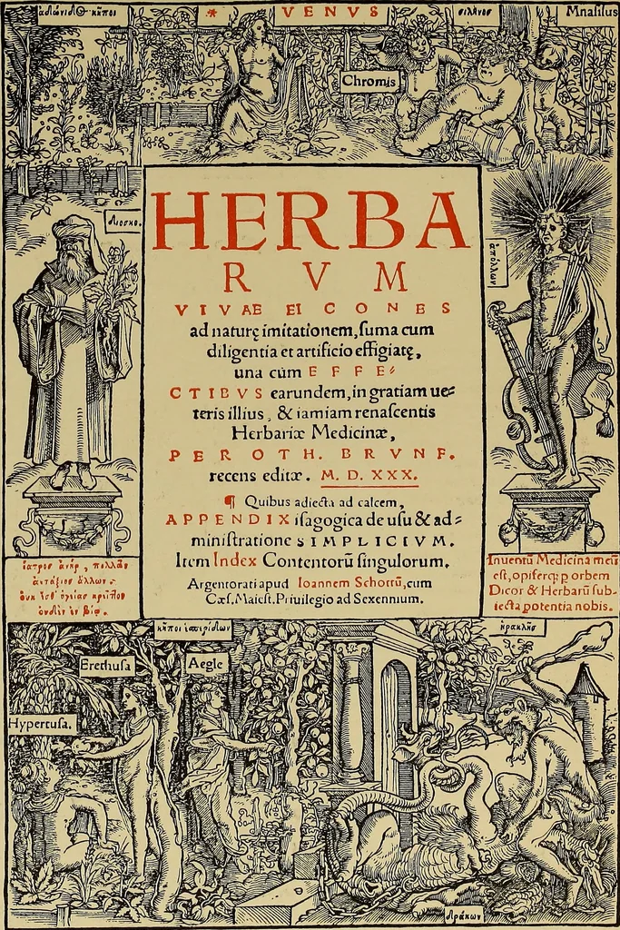 An illustration from Das Alte buch und seine ausstattung vom XV. bis zum XIX. jahrhundert: buchdruck, buchschmuck und einbände, 1915, leaf 125