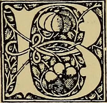 An illustration from Das Alte buch und seine ausstattung vom XV. bis zum XIX. jahrhundert: buchdruck, buchschmuck und einbände, 1915, leaf 129