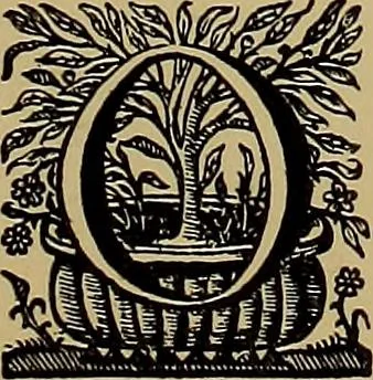 An illustration from Das Alte buch und seine ausstattung vom XV. bis zum XIX. jahrhundert: buchdruck, buchschmuck und einbände, 1915, leaf 131