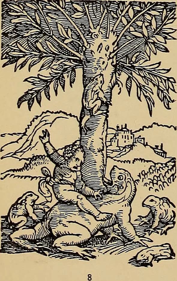 An illustration from Das Alte buch und seine ausstattung vom XV. bis zum XIX. jahrhundert: buchdruck, buchschmuck und einbände, 1915, leaf 132