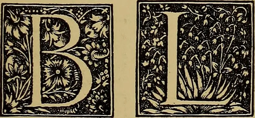 An illustration from Das Alte buch und seine ausstattung vom XV. bis zum XIX. jahrhundert: buchdruck, buchschmuck und einbände, 1915, leaf 61