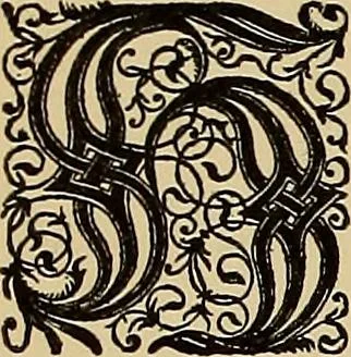 An illustration from Das Alte buch und seine ausstattung vom XV. bis zum XIX. jahrhundert: buchdruck, buchschmuck und einbände, 1915, leaf 78