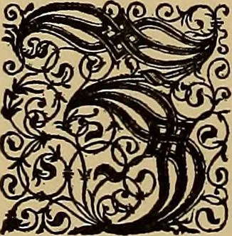 An illustration from Das Alte buch und seine ausstattung vom XV. bis zum XIX. jahrhundert: buchdruck, buchschmuck und einbände, 1915, leaf 78