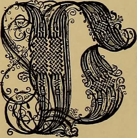 An illustration from Das Alte buch und seine ausstattung vom XV. bis zum XIX. jahrhundert: buchdruck, buchschmuck und einbände, 1915, leaf 78