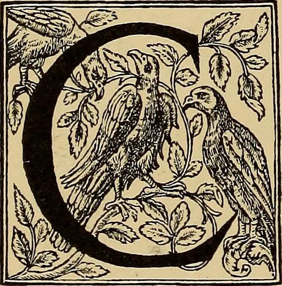 An illustration from Das Alte buch und seine ausstattung vom XV. bis zum XIX. jahrhundert: buchdruck, buchschmuck und einbände, 1915, leaf 90