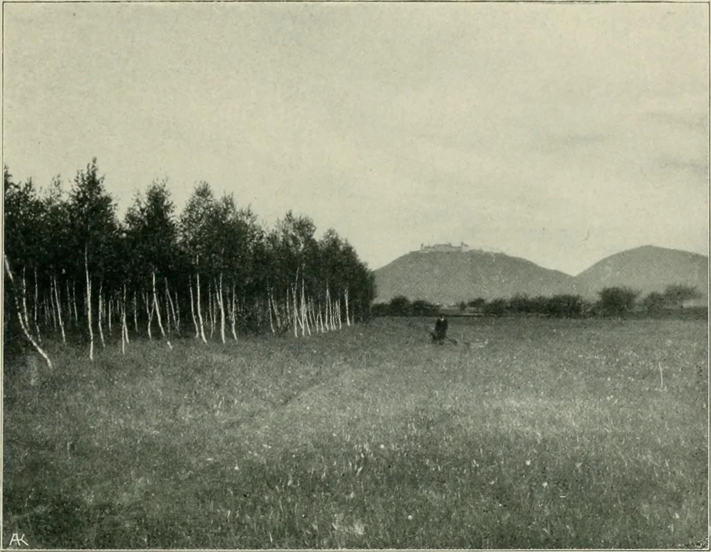 An illustration from Das Benediktinerstift Göttweig, 1914, leaf 63
