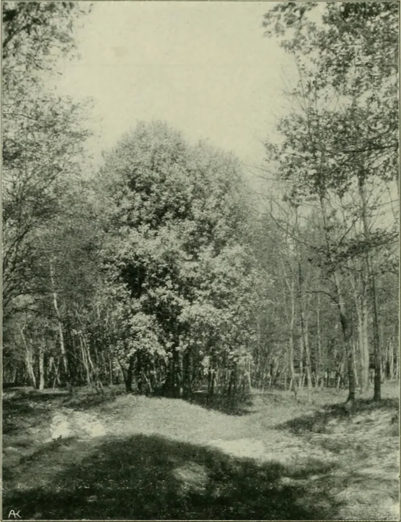 An illustration from Das Benediktinerstift Göttweig, 1914, leaf 64