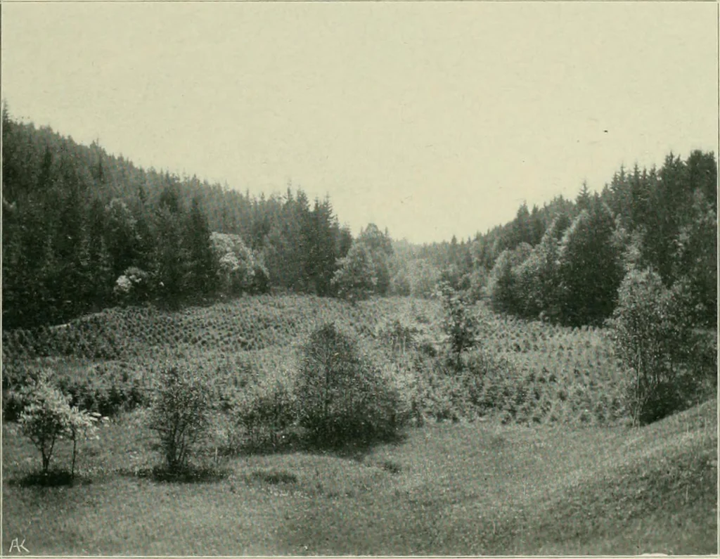 An illustration from Das Benediktinerstift Göttweig, 1914, leaf 65