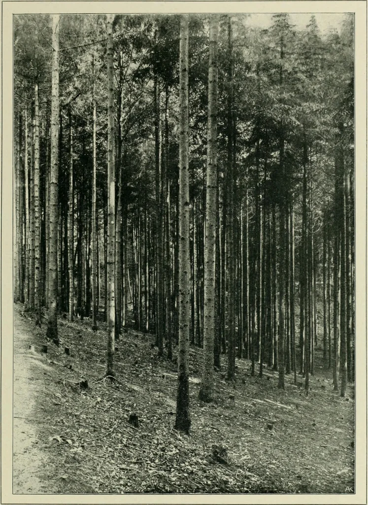 An illustration from Das Benediktinerstift Göttweig, 1914, leaf 67