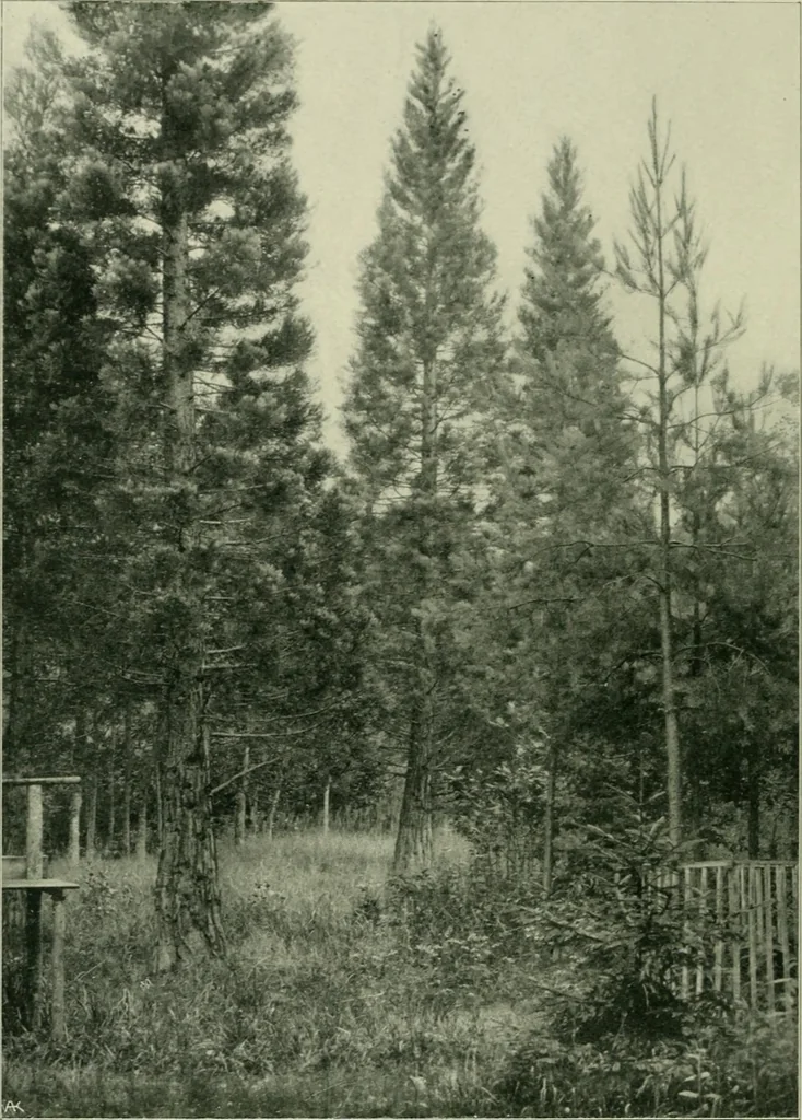 An illustration from Das Benediktinerstift Göttweig, 1914, leaf 68