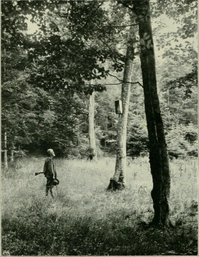 An illustration from Das Benediktinerstift Göttweig, 1914, leaf 70