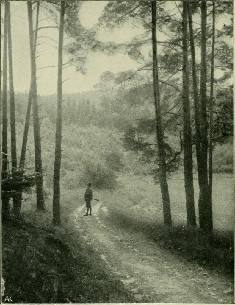 An illustration from Das Benediktinerstift Göttweig, 1914, leaf 70