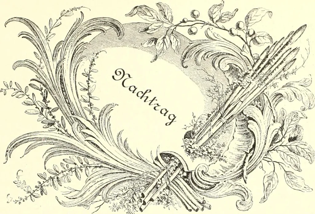 An illustration from Das deutsche Zimmer der Gothik und Renaissance : des Barock-, Rococo- und Zopfstils Anregungen zu häuslicher Kunstpflege, 1886, leaf 459