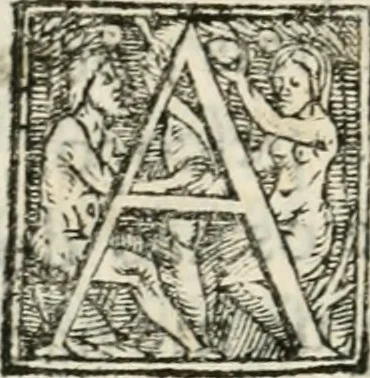 An illustration from Das festas qve se fizeram na cidade de Lisboa, na entrada del Rey D. Philippe primeiro de Portugal, 1581, leaf 119