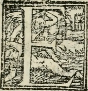 An illustration from Das festas qve se fizeram na cidade de Lisboa, na entrada del Rey D. Philippe primeiro de Portugal, 1581, leaf 14