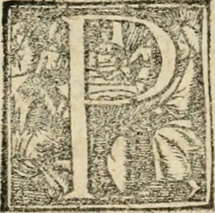 An illustration from Das festas qve se fizeram na cidade de Lisboa, na entrada del Rey D. Philippe primeiro de Portugal, 1581, leaf 59