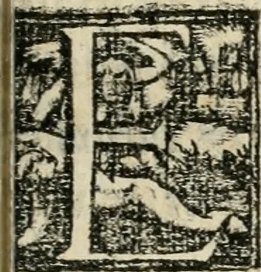 An illustration from Das festas qve se fizeram na cidade de Lisboa, na entrada del Rey D. Philippe primeiro de Portugal, 1581, leaf 74