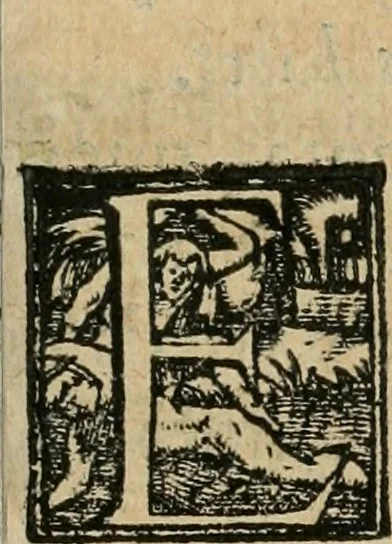 An illustration from Das festas qve se fizeram na cidade de Lisboa, na entrada del Rey D. Philippe primeiro de Portugal, 1581, leaf 76
