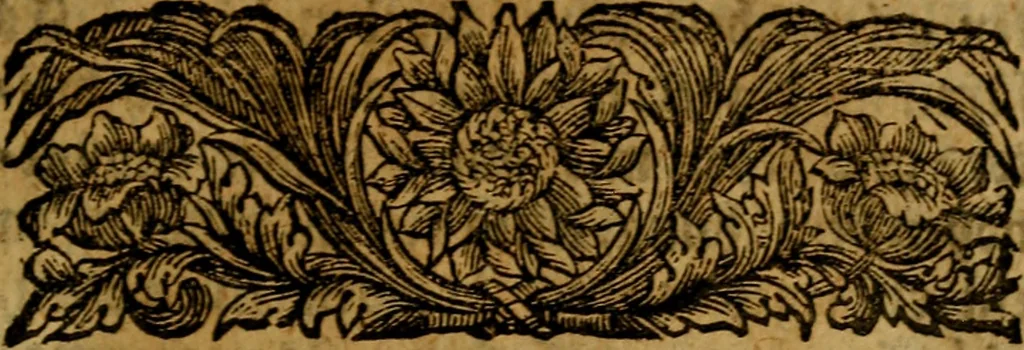 An illustration from Das Gedechtniss der Ehren eines derer vollkommnesten Künstler seiner und aller nachfolgenden Zeiten, Albrecht Dürers, üm eben die Zeit, als er vor 200. Jahren die Welt verlassen : aus besonderer Verehrung vor dessen Verdinste ans Licht gestellet, 1728, leaf 12