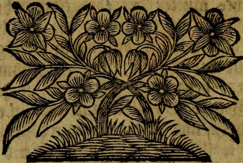 An illustration from Das Gedechtniss der Ehren eines derer vollkommnesten Künstler seiner und aller nachfolgenden Zeiten, Albrecht Dürers, üm eben die Zeit, als er vor 200. Jahren die Welt verlassen : aus besonderer Verehrung vor dessen Verdinste ans Licht gestellet, 1728, leaf 139