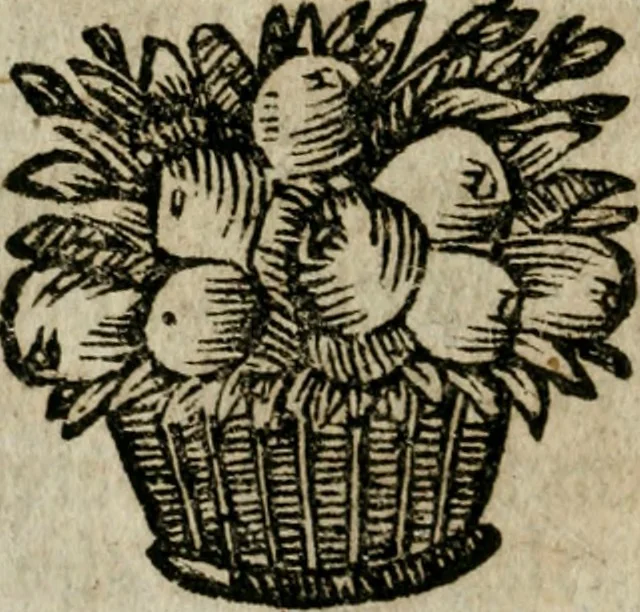 An illustration from Das güldne Vliess, oder, Das allerhöchste, edelste, kunstreichste Kleinod, und der urälteste verborgene Schatz der Weisen : in welchem da ist die allgemeine Materia prima, derselben nothwendige Praeparation und überaus reiche Frucht des philosophischen Steins augenscheinlich gezeiget und klärlich dargethan, 1737, leaf 221