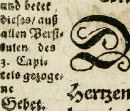 An illustration from Das hohe Lied dess Königes Salomons, nach der Ordnung dess Textes summarischen gebeten Rand, Glossen und kurtzen Beschluss-Liedern, 1662, leaf 111
