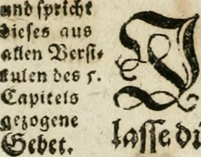 An illustration from Das hohe Lied dess Königes Salomons, nach der Ordnung dess Textes summarischen gebeten Rand, Glossen und kurtzen Beschluss-Liedern, 1662, leaf 179