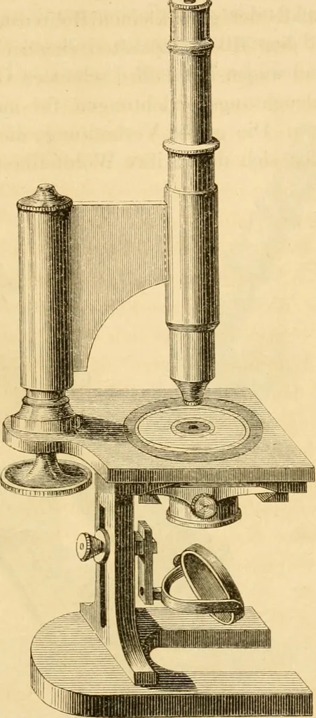 An illustration from Das Mikroskop, Theorie und Anwendung desselben, 1867, leaf 124