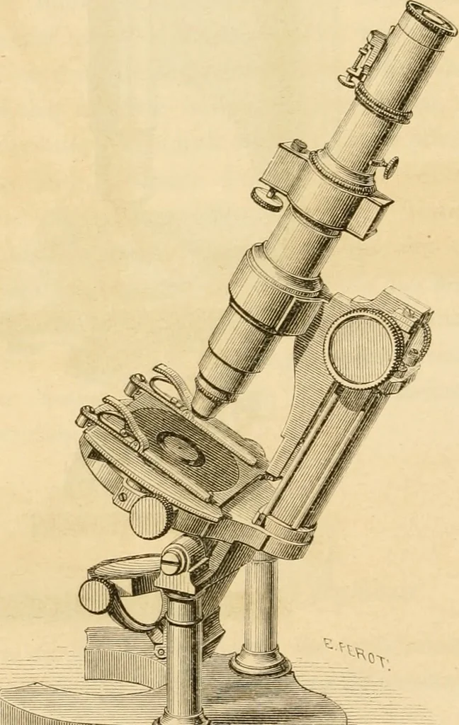 An illustration from Das Mikroskop, Theorie und Anwendung desselben, 1867, leaf 125