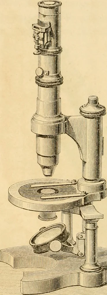 An illustration from Das Mikroskop, Theorie und Anwendung desselben, 1867, leaf 127